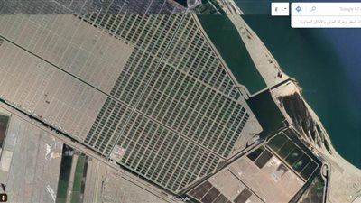 محافظ بورسعيد: 