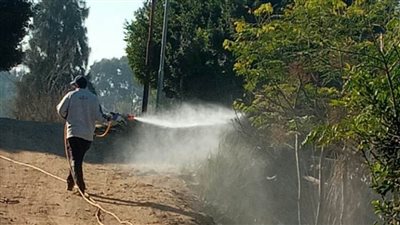 مواجهة كورونا.. استمرار أعمال رش وتطهير الشوارع والمنشآت بالبحيرة