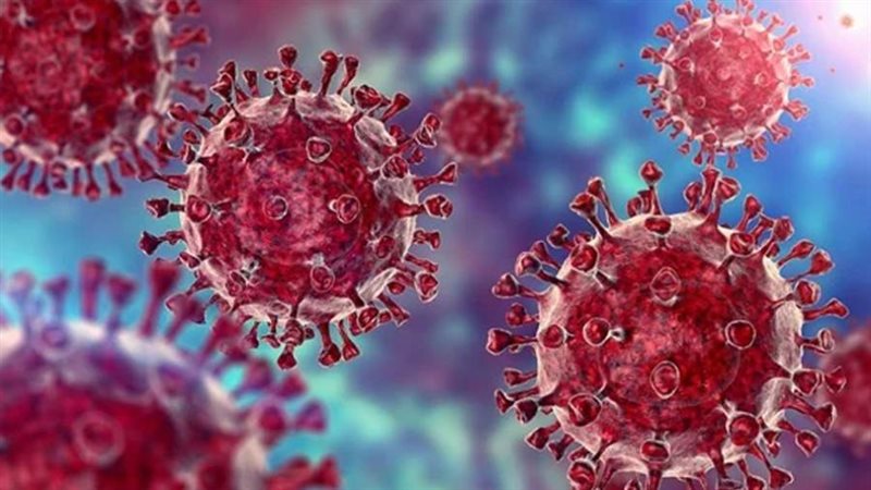 فيروس كورونا