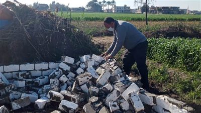 إزالة 6 حالات تعدٍ على الأراضى الزراعية بالبحيرة