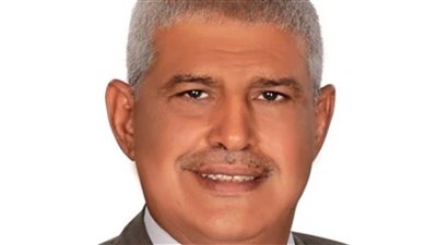 برلماني: المشروعات التي يتبناها الرئيس السيسي تحقق قيمة مضافة للاقتصاد الوطني