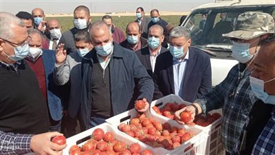 جائزة مالية للملتزمين بترشيد المياه في المنيا 