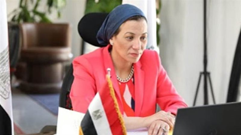 الدكتورة ياسمين فؤاد