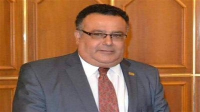 إطلاق موقع رسمي للمكتبة الرقمية بجامعة الإسكندرية يناير 2021