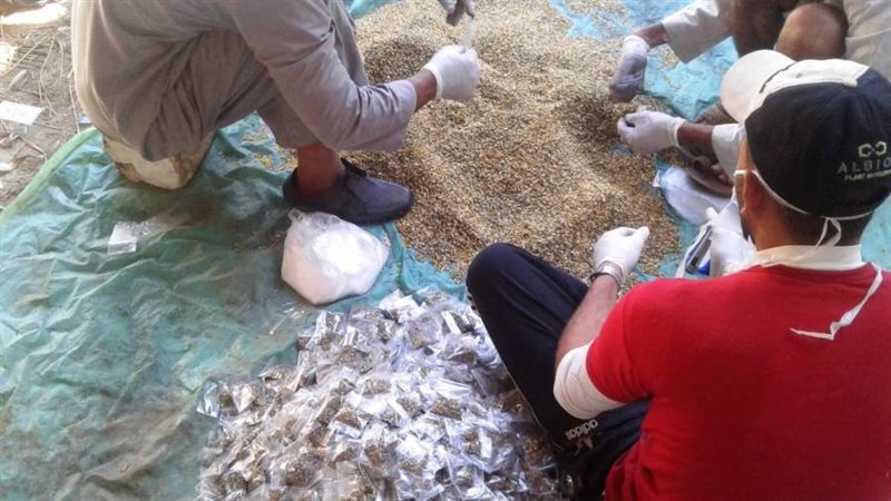 مكافحة القوارض لحماية