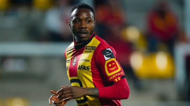 ويليام توڤي