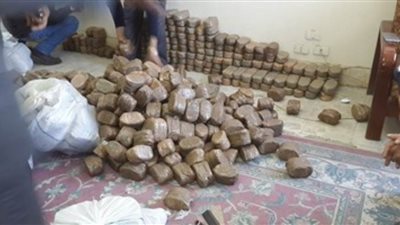حبس عاطلين لحيازتهما 120 طربة حشيش بالإسكندرية