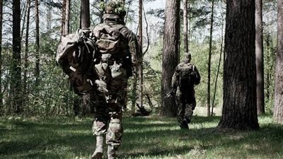 لصوص في الحرس الملكي