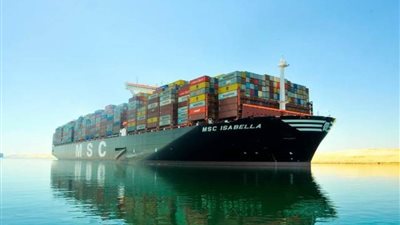 تداول 25 سفينة بضائع عامة وحاويات بميناء دمياط