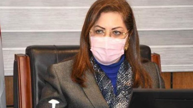 وزيرة التخطيط والتنمية