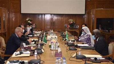 أبو الغيط: السودان يحتاج لمساندة عربية وإفريقية 