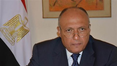 شكري يبحث مع نظيره البرازيلي التعاون الثنائي والقضايا الإقليمية والدولية