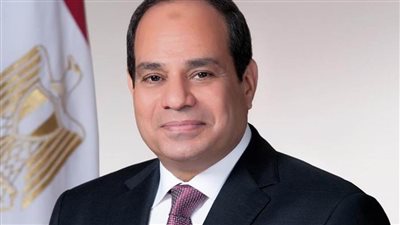 الرئيس السيسي: مصر لم ولن تدخر جهداً تجاه دعم أشقائها الأفارقة
