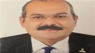 نائب بالشيوخ: مشروع تطوير الريف المصري نقلة نوعية في تاريخ التنمية