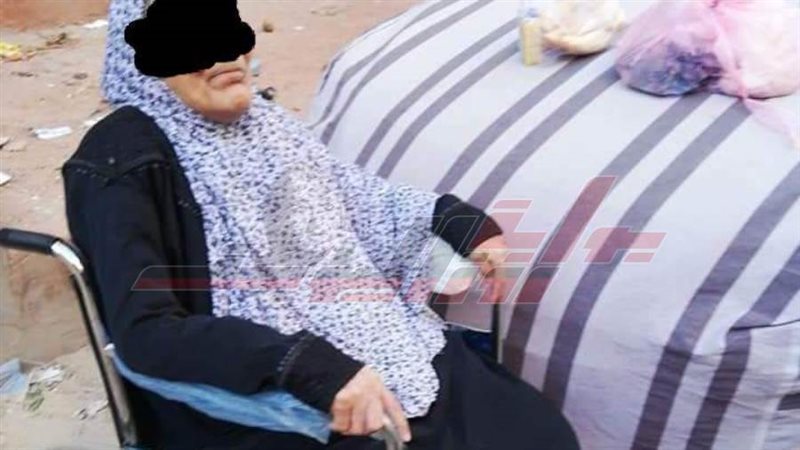 محافظة القليوبية