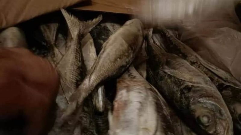 جانب من المضبوطات