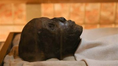 تعرف علي حكم إخراج المومياوات القديمة.. وعرضها في المتاحف