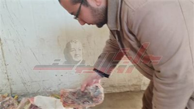 ضبط 17 طن طن رومي وسمان فاسدة بثلاجة في طوخ