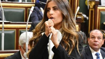 إيلاريا سمير: الشباب يحصدون مكاسب وضع الرئيس لهم على رأس أولوياته