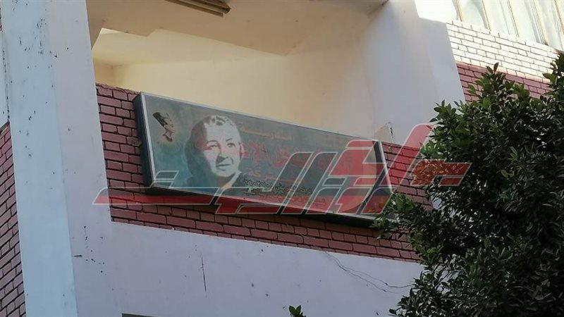 قرية نزلة النخل بأبوقرقاص