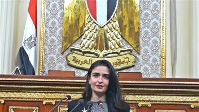 إيرين سعيد تشيد بجهود الدولة في مكافحة 