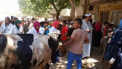 الجيزة : انطلاق الحملة القومية لتحصين الثروة الحيوانية ضد أمراض الحمى القلاعية