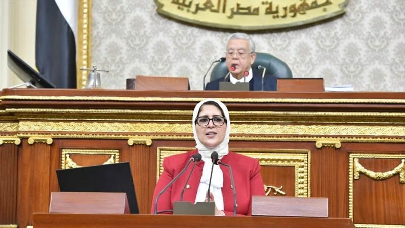 هالة زايد بمجلس النواب