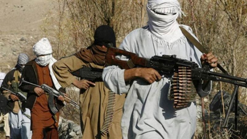 حركة طالبان