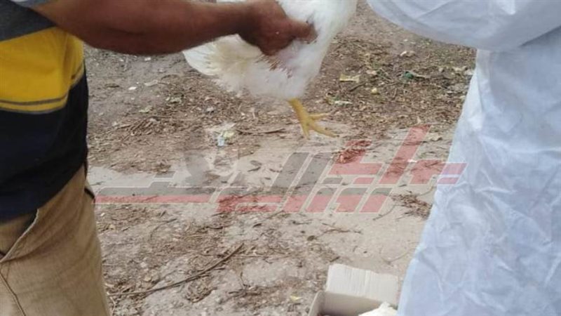 حملات التحصين