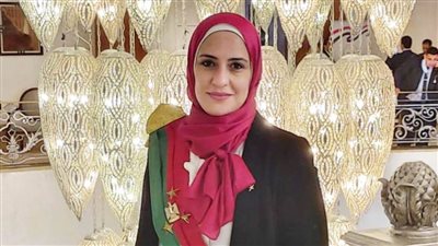 النيابة الإدارية توافق على ندب المستشارة شيماء نجم للدستورية