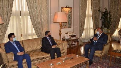 شكري يبحث مع وزير خارجية اليمن آفاق الحل السياسي للأزمة اليمنية