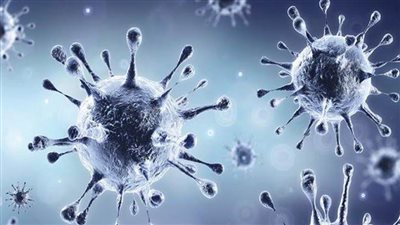 آخر تطورات فيروس كورونا في مصر 7/2/2021