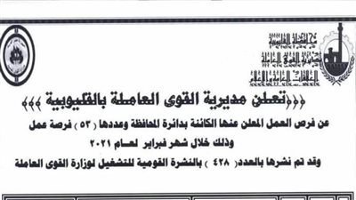 القوى العاملة: توفير 53 فرصة عمل الشهر الجاري بالقليوبية