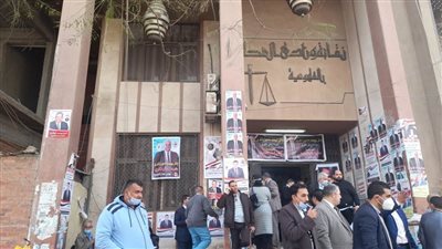 6 محامين يتنافسون على مقعد نقيب المحامين بشمال القليوبية