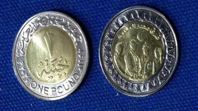 مجلس الوزراء يكشف حقيقة 