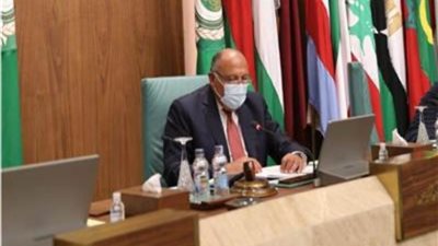 وزير الخارجية: القضية الفلسطينية هي قضيتنا المركزية ومصر تدعم جهود السلام