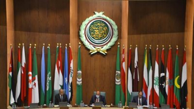 شكري: مصر لم تدخر جهدًا لحلحلة الجمود المسيطر على عملية السلام