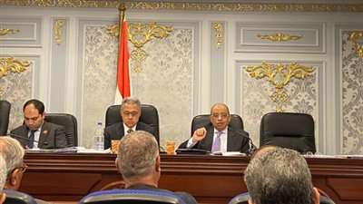 شعراوي:تلقينا 190 ألف طلب للتقنين ورفضنا 21 ألفا وتحرير 25 ألف عقد