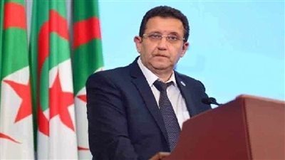 وزير الزراعة الجزائري: رصد بؤرة لأنفلونزا الطيور بولاية أم البواقي شمال شرقي البلاد