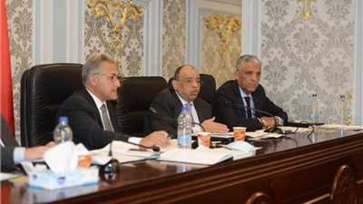 شعراوي: نخطط لتطوير كافة الأسواق الرسمية والعشوائية بالمحافظات