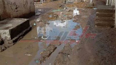 أهالي قرية الفتح بكفر الشيخ: الرئيس حقق لنا الحلم الذي ننتظرة منذ عشرات السنين