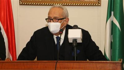 رئيس الوفد: قرارات الفصل أنقذت الوفد من الإخوان