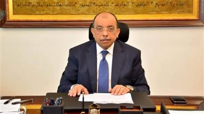 وزير التنمية المحلية: الانتهاء من إعداد مشروعات الخطط التنموية ل ٥١ مركزا يضم ١٤٤٣ قرية