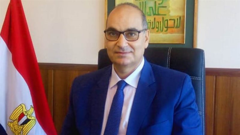 محمد فوزي رئيس هيئة