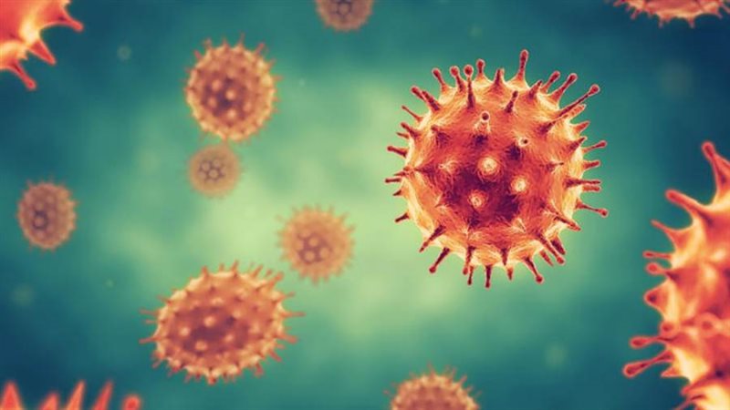 فيروس كورونا