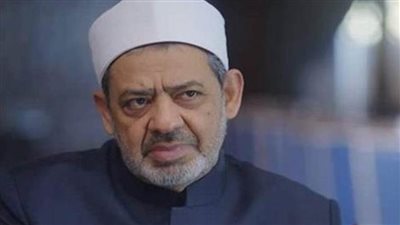 الإمام الأكبر يشيد بالجهود المصرية في القضية الفلسطينية