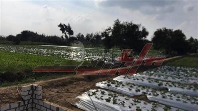 تسليم 22 عقدا لتنفيذ أنظمة الري الحديث بـ”المنوفية“