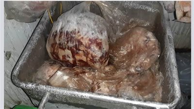 ضبط 2.5 طن لحوم غير صالحة للاستهلاك الآدمي بالإسكندرية