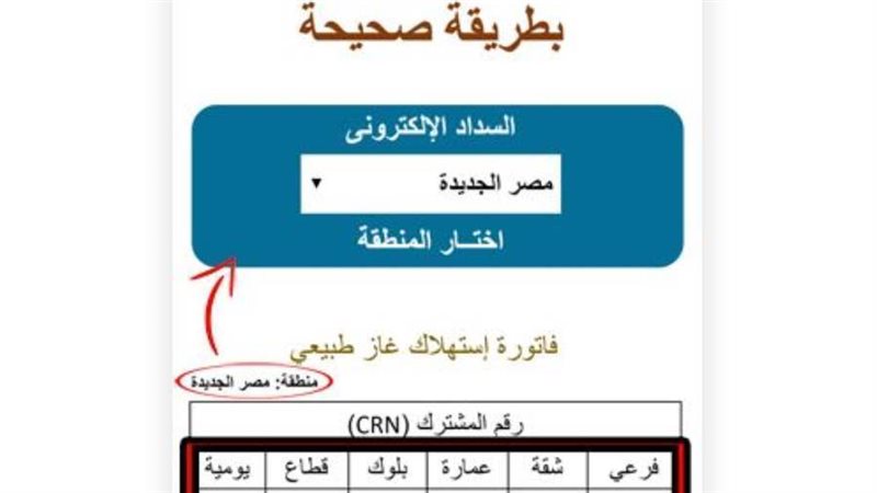 الاستعلام عن فاتورة