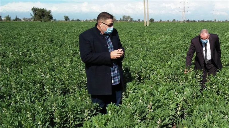 الزواوى يتابع محصول